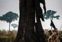 ‘Pacote da Destruição’ avança mesmo depois da tragédia no Sul