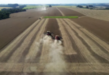 Como troca de vegetação nativa por soja pode ter agravado as enchentes no Rio Grande do Sul