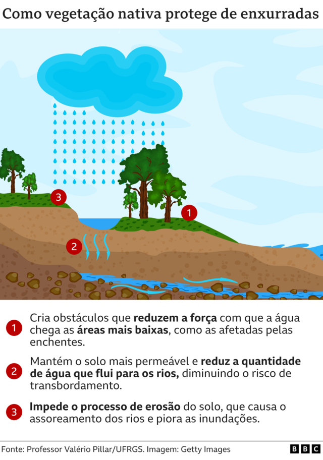 Como Troca De Vegetação Nativa Por Soja Pode Ter Agravado As Enchentes No Rio Grande Do Sul 9923