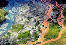 Os rios e riachos do Alasca estão enferrujando: por que a água está cada vez mais laranja?