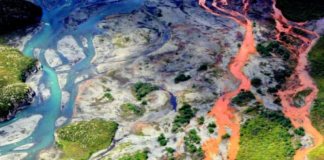 Os rios e riachos do Alasca estão enferrujando: por que a água está cada vez mais laranja?
