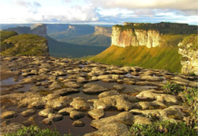 Caatinga: o bioma brasileiro que oferece vários destinos de ecoturismo