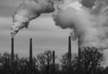 Perguntamos a 380 dos principais cientistas do clima o que eles sentiam sobre o futuro.