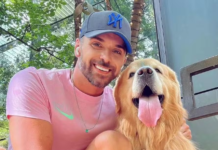 Joca: o dever de proteção dos animais pelo Estado e empresas privadas