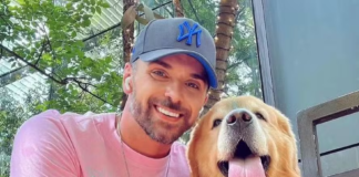 Joca: o dever de proteção dos animais pelo Estado e empresas privadas