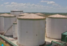 BNDES aprova R$ 2,6 bi em projetos de financiamentos para biocombustíveis em 2023, maior valor em 9 anos