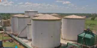 BNDES aprova R$ 2,6 bi em projetos de financiamentos para biocombustíveis em 2023, maior valor em 9 anos