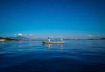 Mudanças climáticas: contribuições do Comitê Baía de Guanabara para a mitigação e adaptação na região hidrográfica
