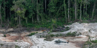 A vida ameaçada: da destruição ambiental ao ecossocialismo