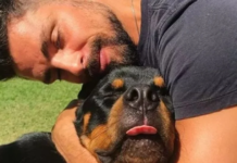 Glifosato: agrotóxico que provoca câncer teria sido usado para matar cão de Reymond