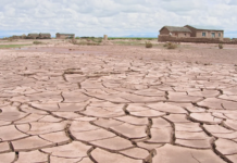 O que é desertificação? O fenômeno avança em ritmo alarmante e a América Latina