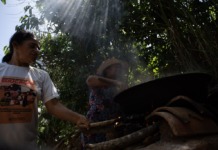 Comunidades dizem que não foram ouvidas sobre megaprojeto de eólicas na BA