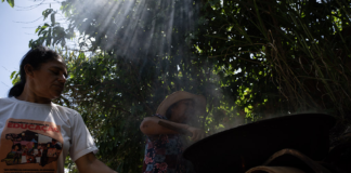 Comunidades dizem que não foram ouvidas sobre megaprojeto de eólicas na BA