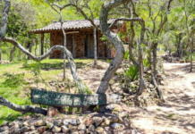 Conheça o Parque Natural Municipal da Mata Atlântica de São Pedro da Aldeia