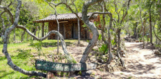 Conheça o Parque Natural Municipal da Mata Atlântica de São Pedro da Aldeia