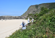 Niterói vai reflorestar restingas de Itacoatiara e Camboinhas