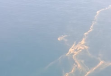 ICMBio e Ibama monitoram mancha de óleo próxima à costa de Arraial do Cabo