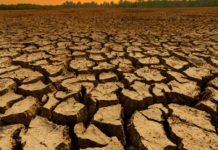 Brasil em estado de alerta para chuvas e secas extremas em Julho!