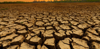 Brasil em estado de alerta para chuvas e secas extremas em Julho!