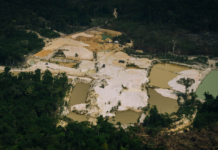 Avanço de garimpo em terras indígenas alerta para novos meios de lavagem de ouro