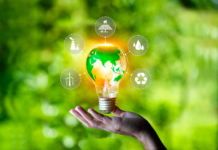 Fontes de energia renováveis: o que são, vantagens e tipos