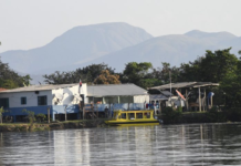 Maior que Portugal: mapa mostra imensidão do Pantanal em MS e desafios de logística no bioma
