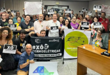 Licenciamento de maior termelétrica do país avança contrariando parecer do Ibama