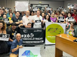 Licenciamento de maior termelétrica do país avança contrariando parecer do Ibama