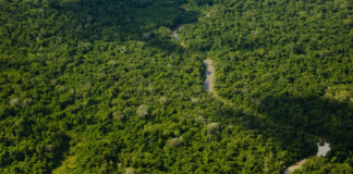 Funai vai identificar e delimitar três terras indígenas no Amazonas