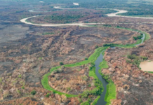 Brasil está secando, aponta Mapbiomas