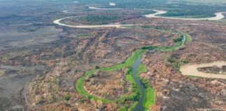 Brasil está secando, aponta Mapbiomas