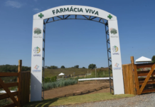 Maricá inaugura uma das maiores farmácias vivas do país