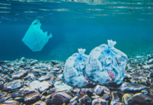 Professor da USP é premiado por estudo sobre poluição por plástico no litoral brasileiro