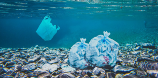 Professor da USP é premiado por estudo sobre poluição por plástico no litoral brasileiro