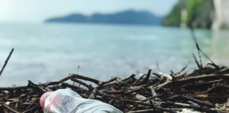 Estudo aponta os poluentes mais encontrados nas praias, mangues e rios do litoral de SP