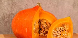Sementes de abóbora ajudam na saúde da bexiga? Entenda