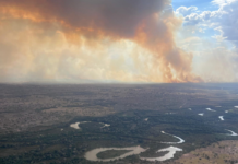 Aquecimento global aumentou em 40% seca e calor durante incêndios de junho no Pantanal