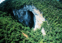 Conteúdo dos planos de manejo das unidades de conservação