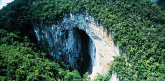 Conteúdo dos planos de manejo das unidades de conservação