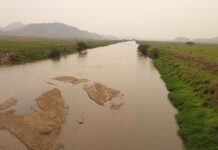 A morte do Rio Macaé: um grito de socorro pela sobrevivência