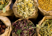 Cidade no RJ inaugura farmácia de plantas medicinais