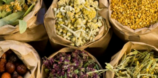 Cidade no RJ inaugura farmácia de plantas medicinais