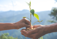 Ministério do Turismo apoia chamamento público para projetos de conservação ambiental