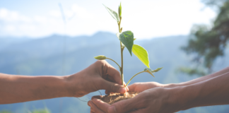 Ministério do Turismo apoia chamamento público para projetos de conservação ambiental