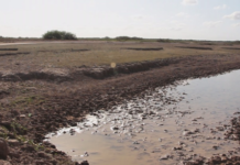 Conceitos para entender a crise ambiental da atualidade