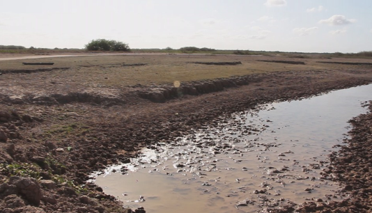 Conceitos para entender a crise ambiental da atualidade