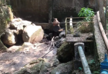 Nascentes de um dos principais parques do RJ secam e estado pode ter grande crise