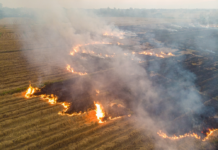 “O agronegócio é o principal inimigo do Brasil”