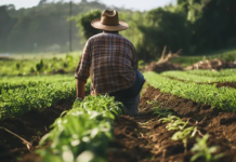 Mapa para livrar o Brasil do Agronegócio