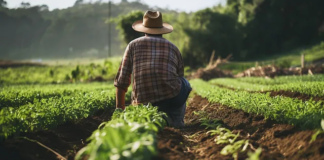 Mapa para livrar o Brasil do Agronegócio